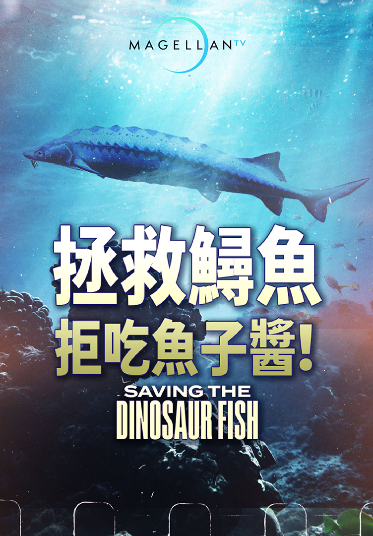 拯救鱘魚：拒吃魚子醬！