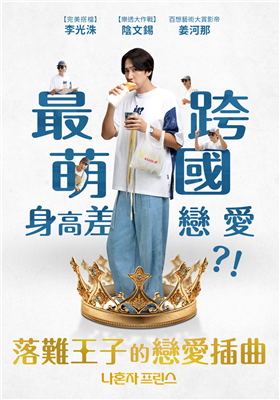 落難王子的戀愛插曲劇照