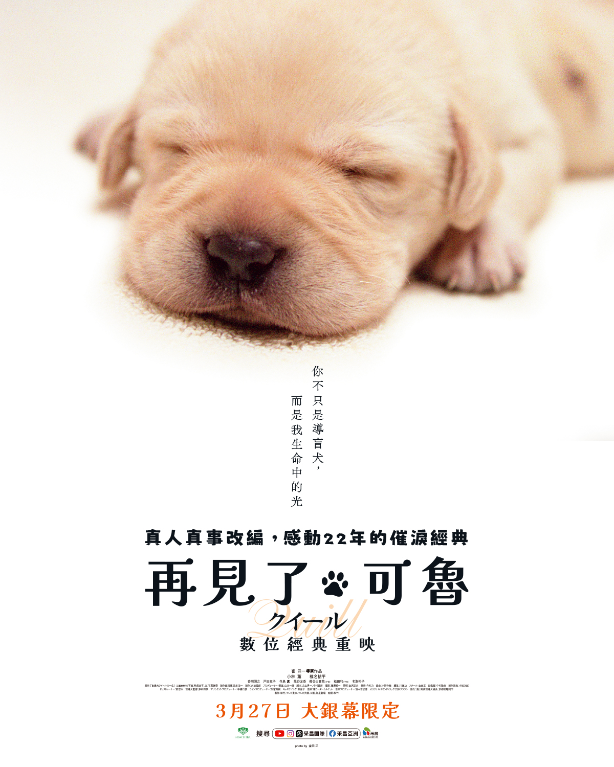 再見了，可魯：數位經典重映