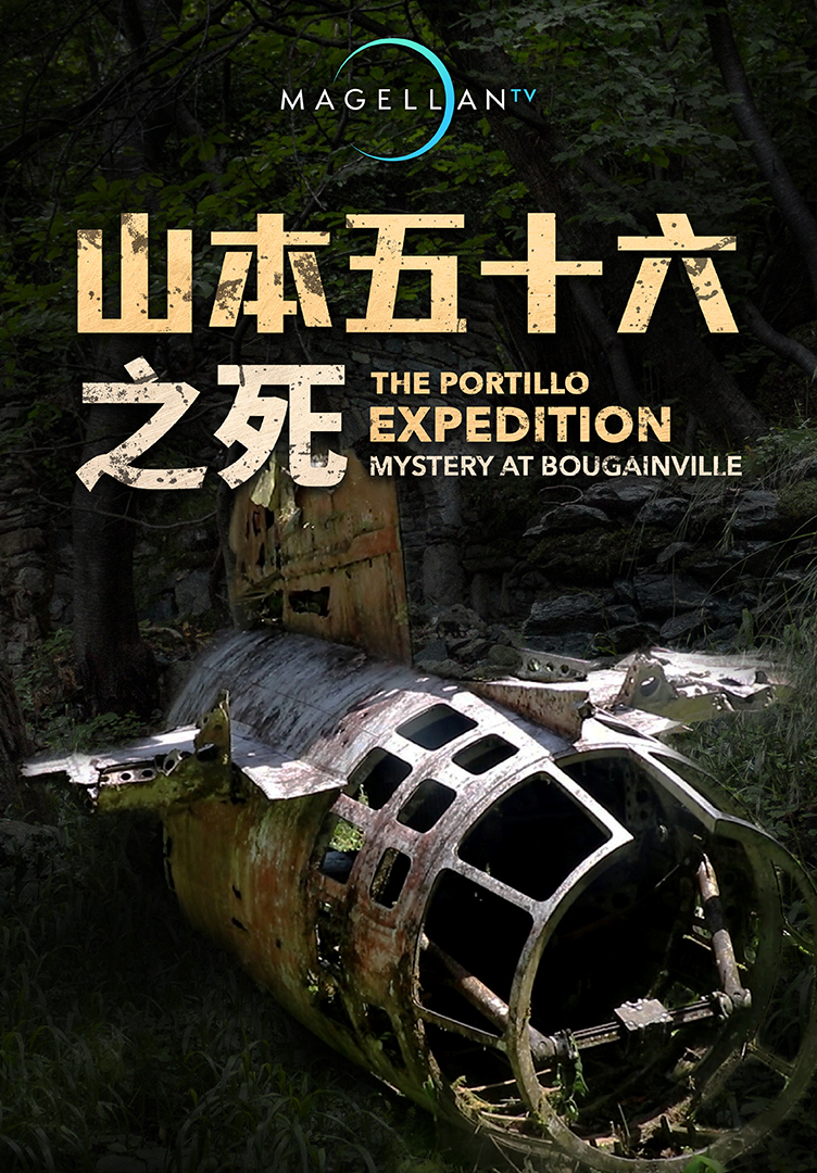 山本五十六之死