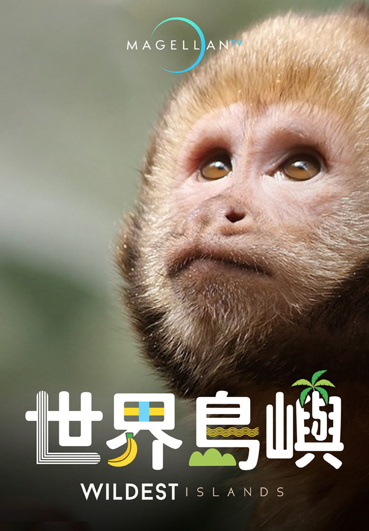 世界島嶼