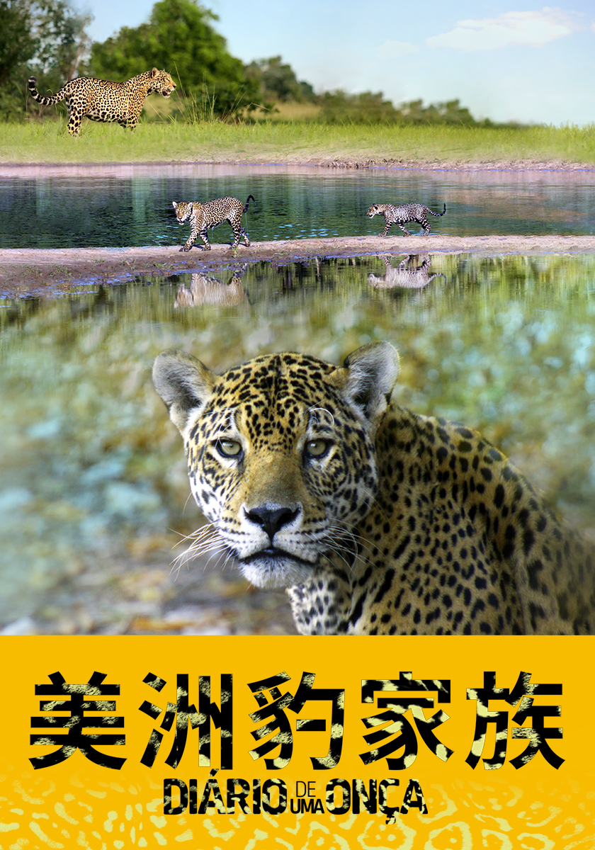 美洲豹家族