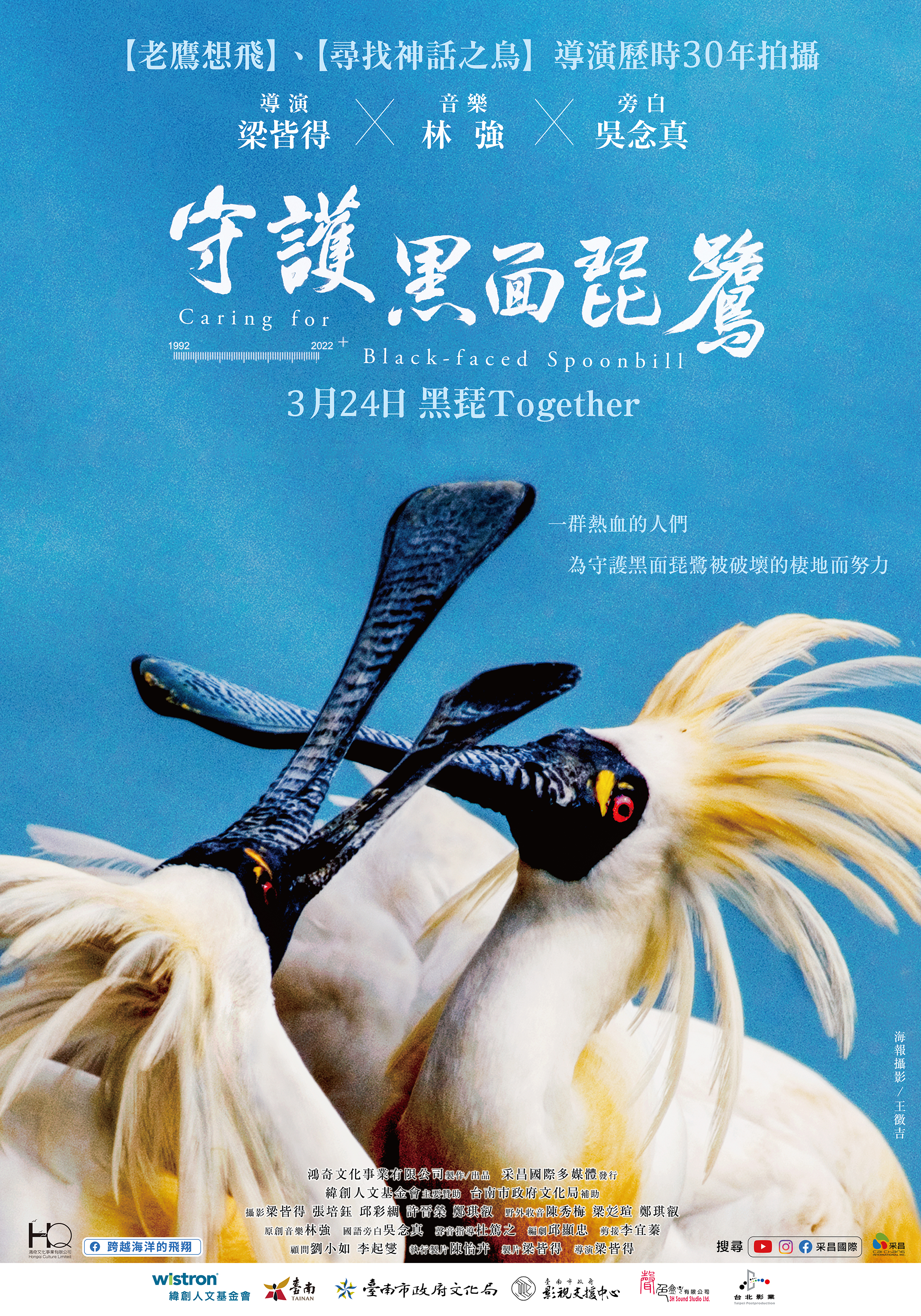 守護黑面琵鷺 