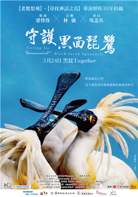 守護黑面琵鷺 劇照