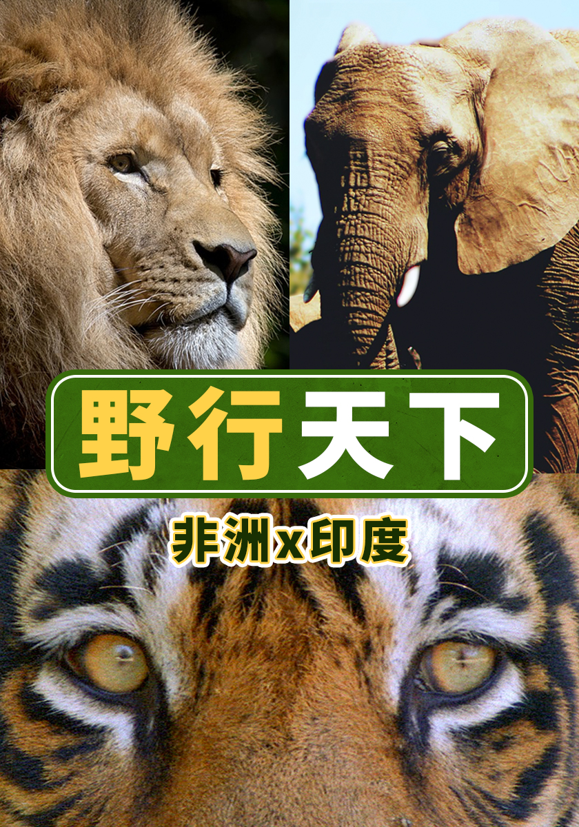 野行天下[非洲x印度] 11/2-22 晚間八點播出