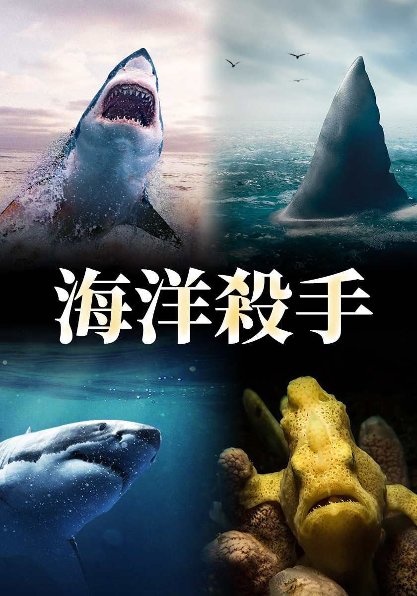 海洋殺手 11/16-22晚間九點播出