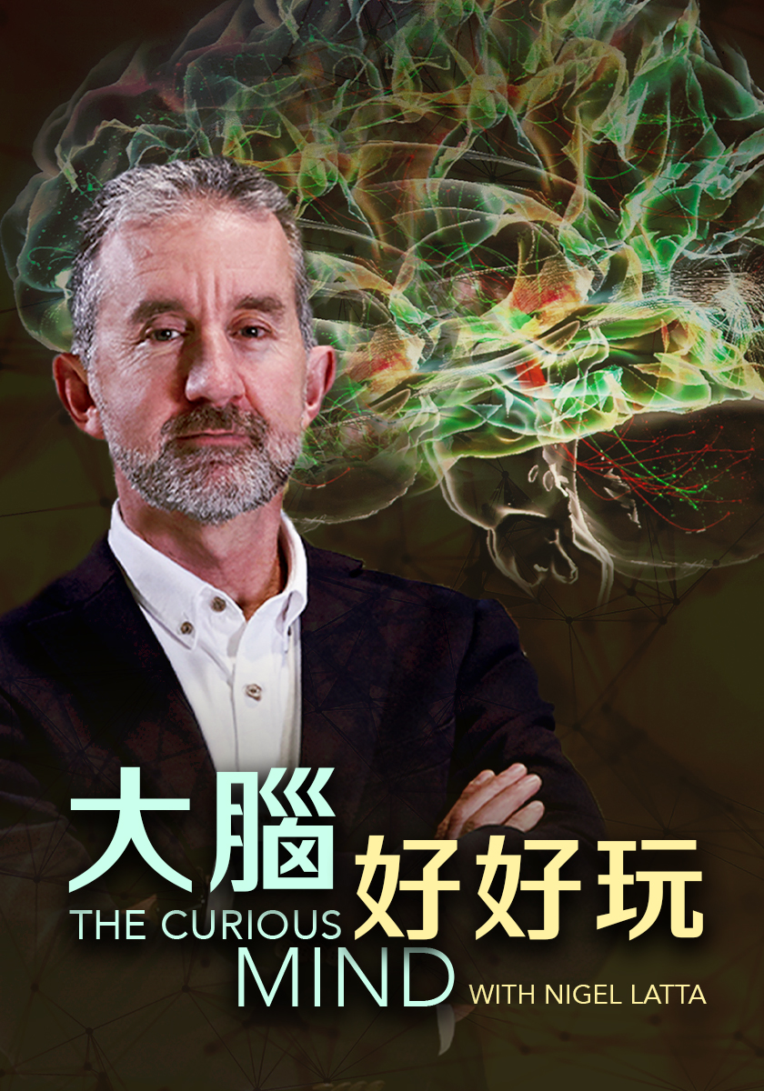 大腦好好玩 11/8-29周日晚間十點播出