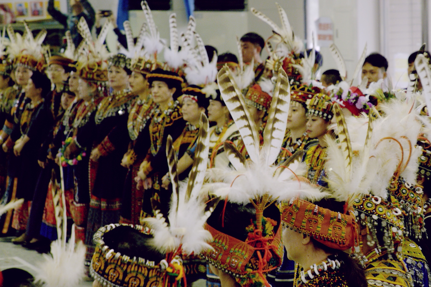 台灣最難見猛禽現身大銀幕  《飛吧！熊鷹》揭部落文化與物種危機